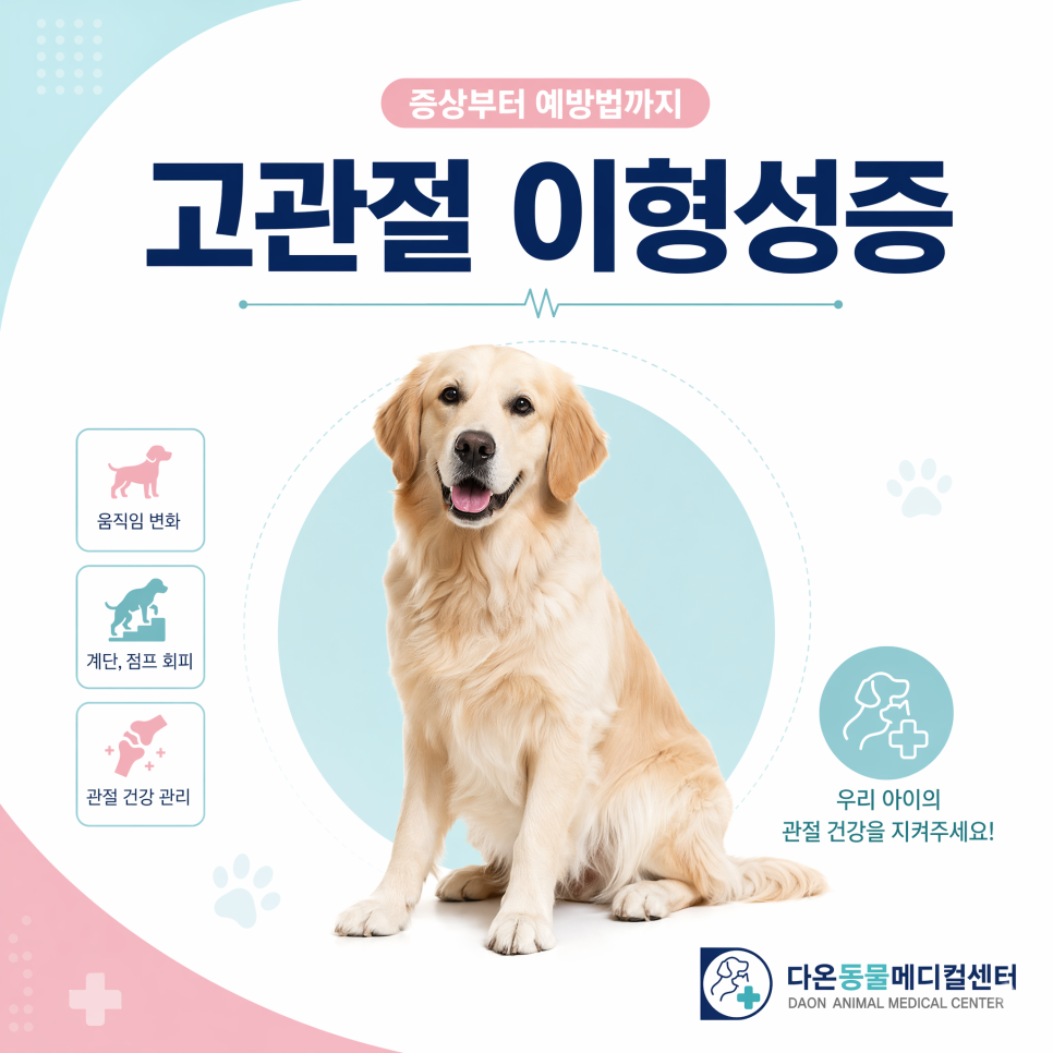 고관절 이형성증 — 증상부터 예방까지 완벽 가이드